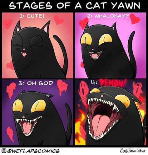 coral cat comics|30 Funny And Relatable Comics Showing What It’s Like To Live .